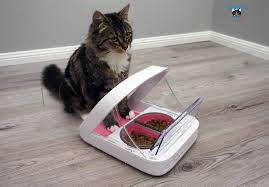 A wide variety of microchip feeder options are available to you, such as feature, application, and bowl & feeder type. Surefeed Microchip Pet Feeder Connect Review Australian Cat Lover