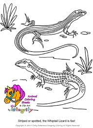39+ desert animals coloring pages for printing and coloring. Desert Animals Coloring Pages Vol 1 Sonoran Desert Western Plains