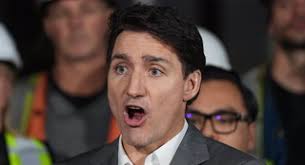 Lilley Unleashed: We'Re Going To Have To Force An Election On Trudeau To  Try And Get Him Out