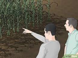 How To Become A Farmer Without Experience: 14 Steps