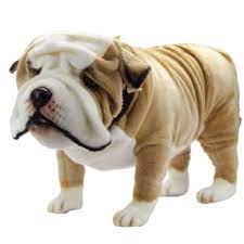 Handcrafted 30 Inch Life Size English Bulldog Stuffed Animal By Hansa At Stuffed Safari English Bulldog Animals Bulldog