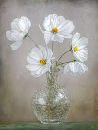 Https Flic Kr P Au2cma Cosmos Flower Painting Flower Art Floral Painting
