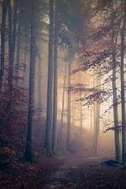 47 Best Places Images In 2019 Cosas Al Azar Cosas Divertidas Naturaleza