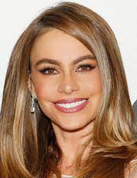 15 Of The Most Coveted Celebrity Brows Honey Blonde Hair Sofia Vergara Hair Celebrity Eyebrows