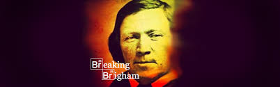 Breaking Brigham: Methamphetamine and Mormon Tea—The Appendix