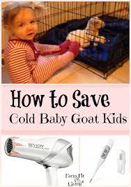 How To Keep Baby Goats Warm In Cold Weather Farm Fit Living