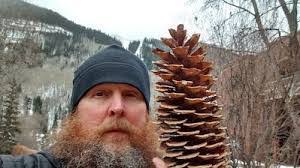 Marc Mcdaniel's Instagram, Twitter & Facebook