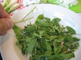 Check spelling or type a new query. Holy Basil My Long Lost Love Asian Markets Of Philadelphia