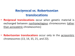 Robertsonian translocations are a particular type of balanced translocation that get their name from an american scientist who first described them. Cytogenetics Part 2 Dr Mohammed Hussein Ppt Download