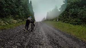 big agnesさんはinstagramを利用しています we had heard about the possibility of bikepacking the alaskan pipeline access roads and having both done prev アウトドアライフ テント アグネス