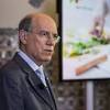Imagem da notícia sobre PINTO DA TAP de Observador