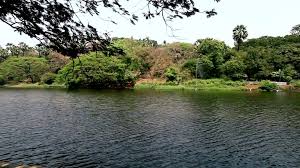 60+ Borivali National Park Stock Videos ...