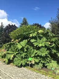 ′′ there are many diamonds born in this world that changed his whole map. Wonderful Garden If You Will Be In Wroclaw You Must See This Garden Picture Of Botanical Garden Of The University Of Wroclaw Wroclaw Tripadvisor