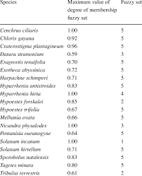 Image result for Harpachne schimperi