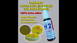 Campur dengan air lemon, oleskan pada kulit yang timbul kudis. Ps Herbs Natural Remedies Testimoni Rawat Kudis Buta Scabies Facebook
