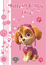 Opens in a new window. Skye Paw Patrol Happy Birthday Novocom Top