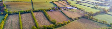 Trip.com provides tourists with the camel trail attraction address, business hours, brief introduction, open hours, nearby recommendation, restaurant, reviews etc. Welcome Camel Valley