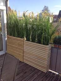 Brise Vue Balcon Naturel Graminees Ornementales Bacs Bois Terrasse Jardin Jardiniere Balcon Idees Jardin