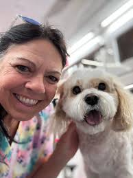 Bubbles-N-Biscuits Mobile Pet Grooming