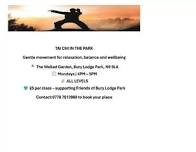 Tai Chi in the Park