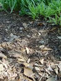 Both types of mulch discourage weeds, but organic mulches also improve the soil as they decompose. Is Rubber Mulch A Good Idea To Stop Weeds In The Landscape Gardening Q A With George Weigel Pennlive Com