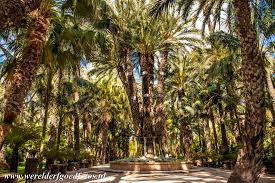 Cultivation of date palms in elche is known at least since the iberian times, dating around the fifth century b.c. World Heritage Photos Palmeral Of Elche
