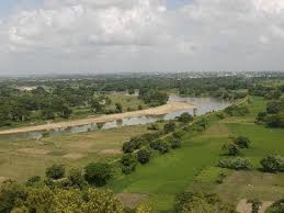 Image result for kalinga war ashoka