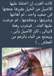 Pin By Najd On مماراق لي Arabic Quotes Quotations Words