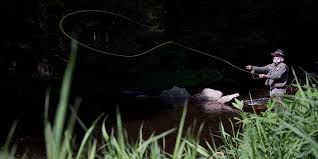 Die ufer sind von wäldern mit granitsteinen umgeben. Fischen Am Stausee Ottenstein