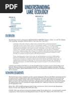 Image result for Conostomium gazense