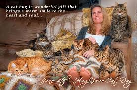 The cats need your hugs. The Many Ways To Hug A Cat For Hug Your Cat Day Zee Zoey S Cat Chronicles