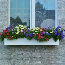 7 | window box ideas for shade. Window Box Ideas Pictures Of Window Boxes And Flower Boxes