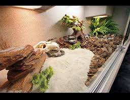 Love The Layout Of This Enclosure Bearded Dragon Habitat Bearded Dragon Terrarium Baby Bearded Dragon