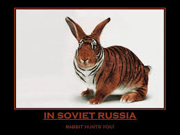 You can't scroll down on the dank. Communist Closet Soviet Gear Tiger And Bunny Funny Rabbit Animal Mashups