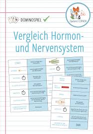 Vergleich Hormon Und Nervensystem Domino Spiel Unterrichtsmaterial Im Fach Biologie In 2020 Domino Spiele Domino Nervensystem