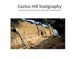 If you're able to expand your search outside of cactus hill, check out properties in these nearby areas Cactus Hill Va Archaeological Site Found In Southeastern