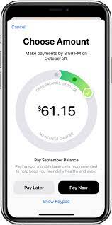 How we love you (even) more. How To Avoid Or Lower Apple Card Interest Charges Apple Support