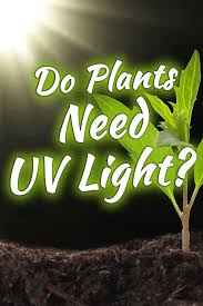 Do Plants Need Uv Light Garden Tabs
