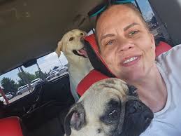 Lost pets found at Layton Vasa