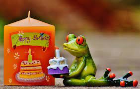 Frog in a pink dress with flowers, balloons and cake in her hands. Happy Birthday Frog Free Photo On Pixabay