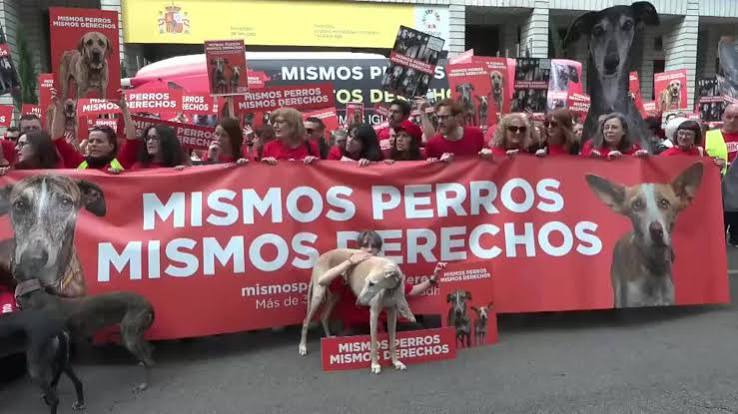 Trescientas organizaciones salen a la calle en Madrid contra la desprotección de los perros de caza y trabajo