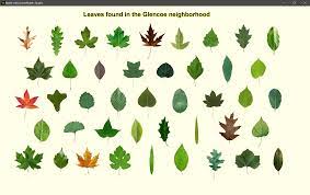 My Digital Leaf Collection Made Using Game Maker Studio 1 4 Clicking On Leaf Will Display Tree Nam Game Maker Studio Home Decor Decals Printed Shower Curtain