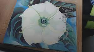 She made about 200 paintings of flowers of the more than 2,000 paintings that she made over her career. Georgia O Keefe One Hundred Flowers O Keeffe Georgia Amazon De Bucher