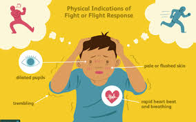 Overview Of The 6 Major Theories Of Emotion