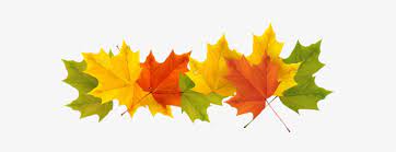 Pin amazing png images that you like. Transparent Fall Leaves Png Picture Fall Leaves Border Transparent 600x253 Png Download Pngkit