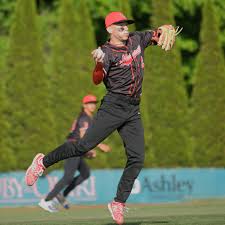 HIGH SCHOOL BASEBALL: Mechanicville's perfect season ended in Sect'l Semis 