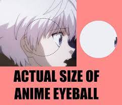 Guys would have their own harems, despite. Request If A Human S Eyes Were This Big How Much Room Would They Have For A Brain Other Organs And Systems Theydidthemath