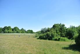 See all things to do. Botanischer Volkspark Blankenfelde Pankow Walk Your Dog