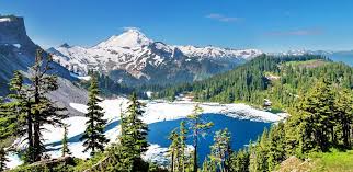 We did not find results for: Washington Mountains