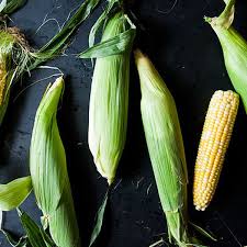 When properly stored in the refrigerator, corn on the cob is good for three to five days. Shucking Corn Guide How To Remove Silk From Corn On The Cob
